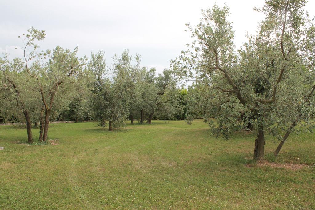 Agriturismo Piano Grande Avigliano Umbro Kamer foto